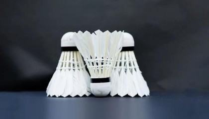 羽毛球价格涨疯了！背后推手竟是猪肉？