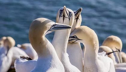 永利APP-乐竞体育:让运动成为日常的快乐竞赛