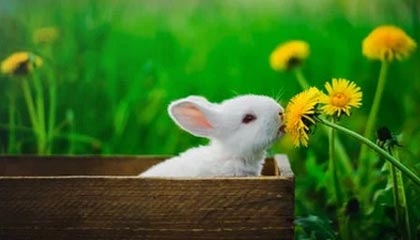 永利网址-开云体育：让热爱照进生活的彼岸